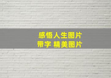 感悟人生图片带字 精美图片